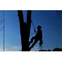 peoria-tree-services.com