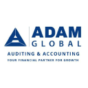 accountingservices.ae
