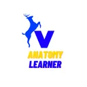 anatomylearner.com
