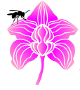 rizoma.com