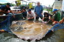 fishsiam.com