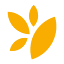 grainfoodsresearch.org