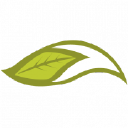 greenfoxevents.com