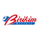 birikimpilleri.com