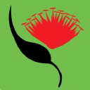 anzsee.org