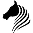 asbweldingpros.com