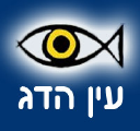 fisheye.co.il
