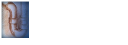 adams-plumbing.com
