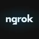 ngrok.com