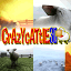 crazy-cattle.com