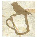 coffeehabitat.com