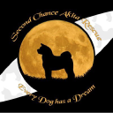 secondchanceakitarescue.co.uk