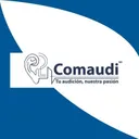 comaudi-industrial.com