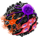 allogeneic-cell-therapies.com