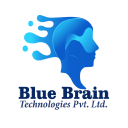 bluebraintech.com