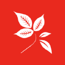 jaluzi-center.com.ua