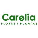 floristeriacarelia.es