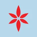 windycitycannabis.com