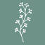 floristeriaazalea.es
