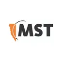 mstglobal.com