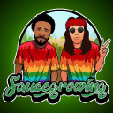 saucegrowing.be