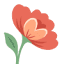 bloom-webworks.com