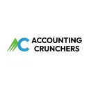 accountingcrunchers.com