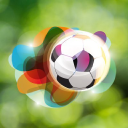 buysoccercardsonline.com
