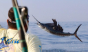 fishcostarica.org