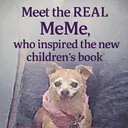 memejjandfriends.com
