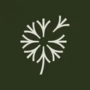 windflowerflorist.com