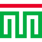 teammexico.mx