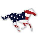 americanracehorse.com