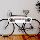 bicyclerentalssausalito.com