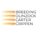 breedinglaw.com