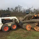 floridatreeandsod.com
