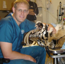dogbeachvet.com