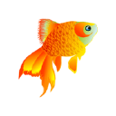 fishbowl-game.com