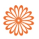 the-village-florist.co.uk
