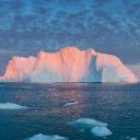 iceberg-research.com