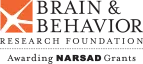 bbrfoundation.org