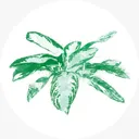 in-flor.ru