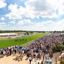 leicester-racecourse.co.uk