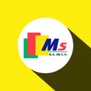 multisenal.com.mx