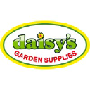 daisy.sg