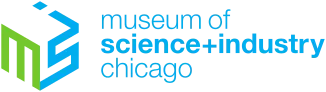msichicago.org