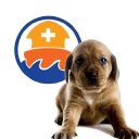 noahsarkanimalclinics.com