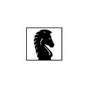 darkhorse-commercial.com