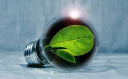 eco-smart-shop.com