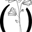 floar.co.il